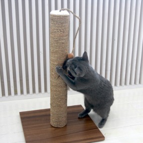 [프랑소와펫] 천연 바나나잎을 엮어 만든 튼튼한 고양이 스크래쳐